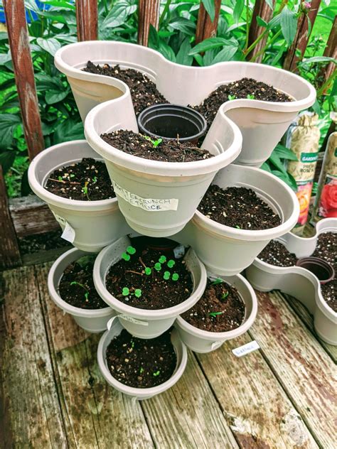 How To Plant In Stackable Pots