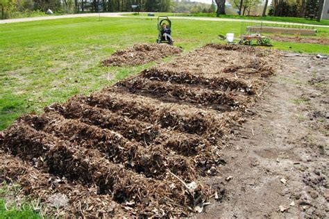 how to plant seeds in a no-till garden
