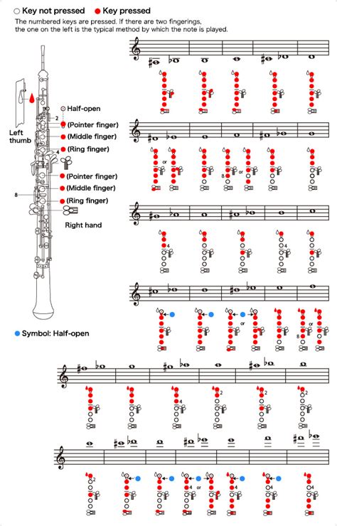How To Play Low Notes Oboe