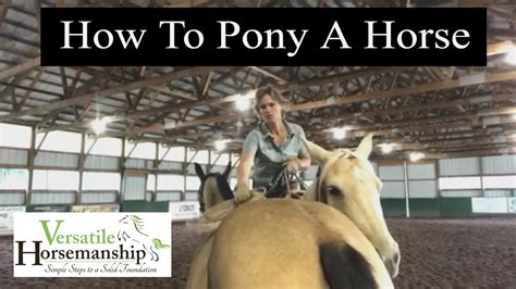 how to pony a horse