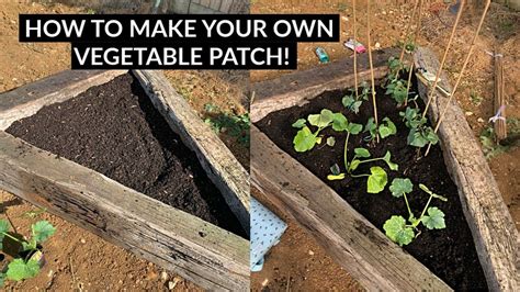How To Prepare A Vegetable Patch