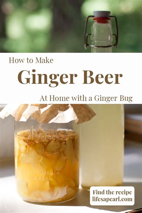 how to prepare ginger beer