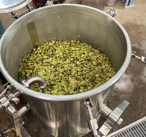 How To Prepare Hops For Brewing