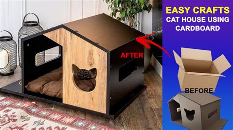 How To Prepare House For A Cat