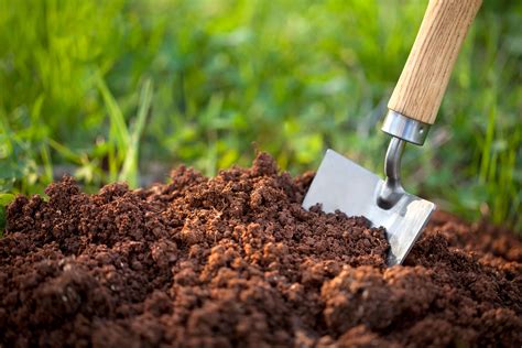 how to prepare soil for flower garden