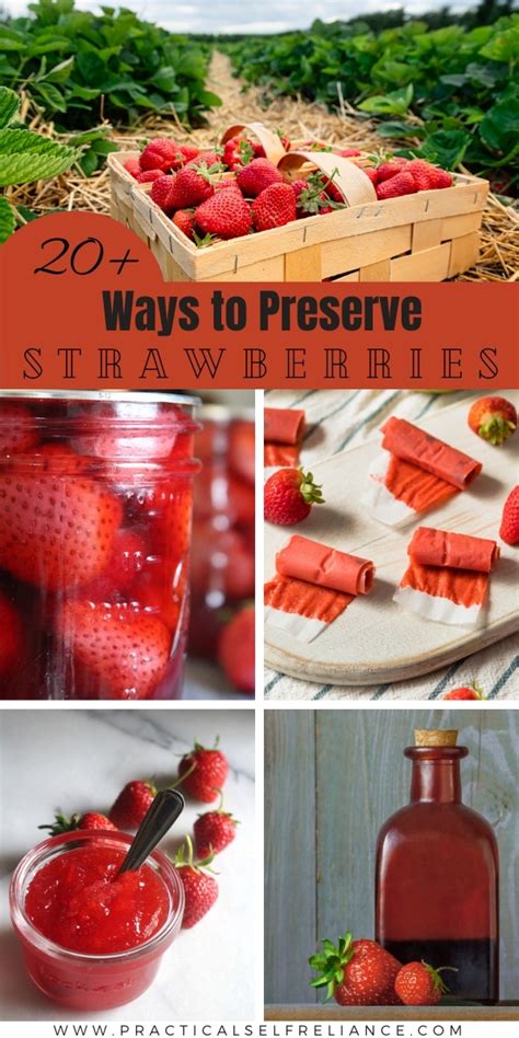 How To Preserve Strawberries In Refrigerator