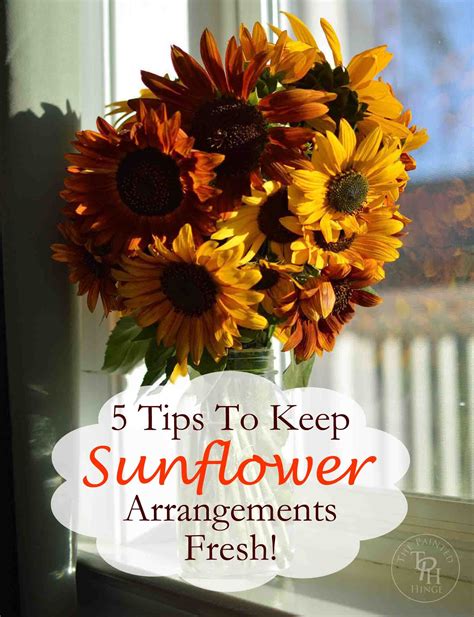 how to preserve sunflowers