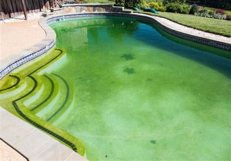 How To Prevent Algae In Pool Over Winter