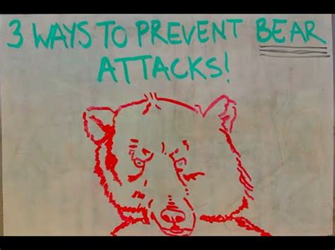 How To Prevent Bear Attacks