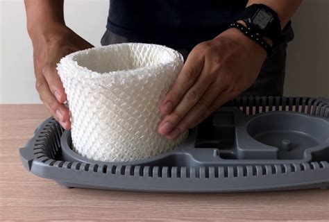 How To Prevent Mold In Humidifier Filter