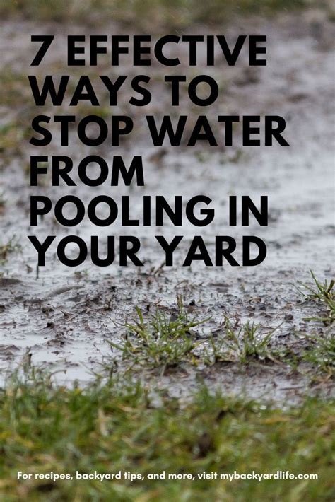 How To Prevent Water From Pooling In Yard