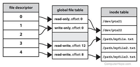 How To Print File Descriptor In C