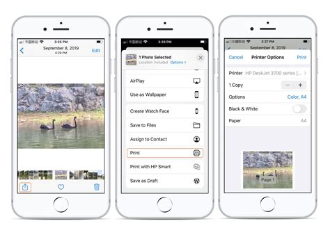 How To Pair HP Printer To IPhone Storables