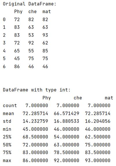 how to print summary of dataframe in python