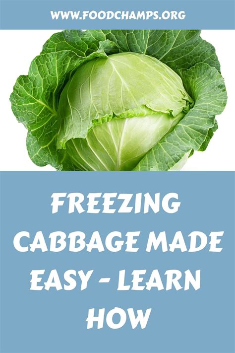 How To Process Cabbage For Freezing