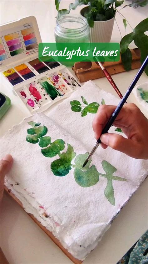 How To Process Eucalyptus Leaves