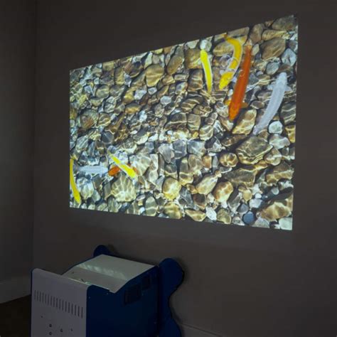 How To Project An Image Onto A Wall Without A Projector