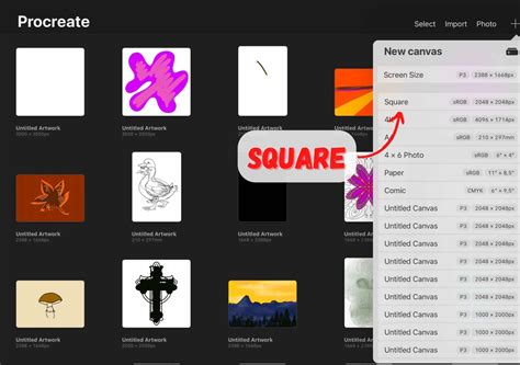 How To Project Canvas On Procreate