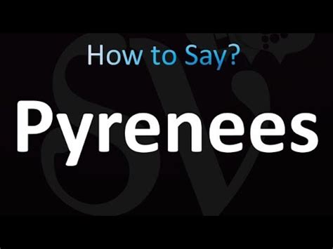 how to pronounce pyrenees dog