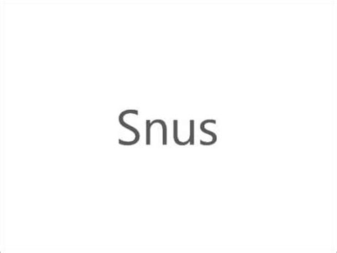 how to pronounce snus