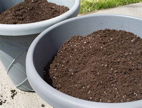 How to Store Potting Soil Over the Winter (Or Any Time of the Year