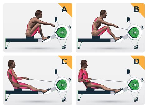 how to properly use a rowing machine