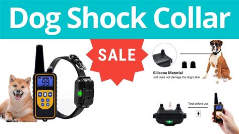 How To Properly Use A Shock Collar On A Dog