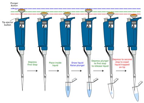 How To Properly Use A Volumetric Pipet