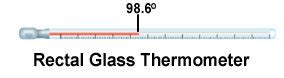 How To Properly Use Rectal Thermometer