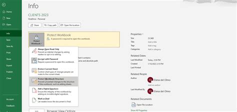 how to protect excel workbook from editing without password