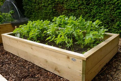 how to protect garden bed wood