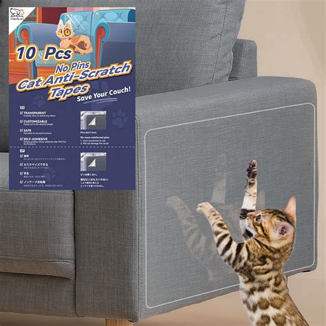 How To Protect Your Couch From A Cat