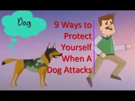 How To Protect Yourself From A Dog Attack When Walking