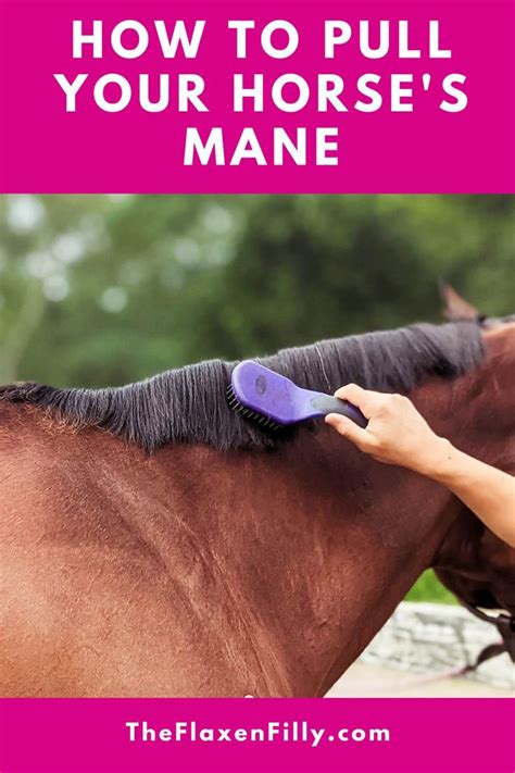 How To Pull A Mane