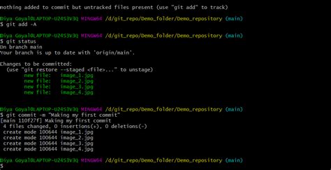 how to push changes using git bash