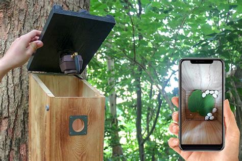 Wildlife Camera System with Nest Box Wildlife World