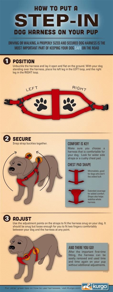 How To Put A Harness In A Dog