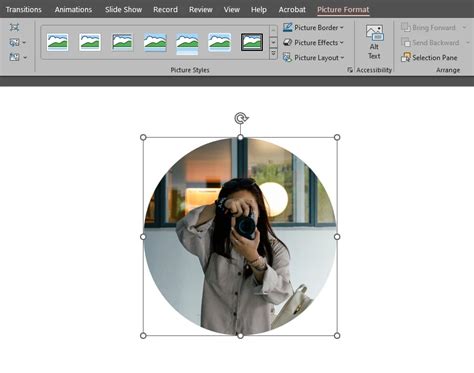 How To Put A Picture In A Circle In Ppt