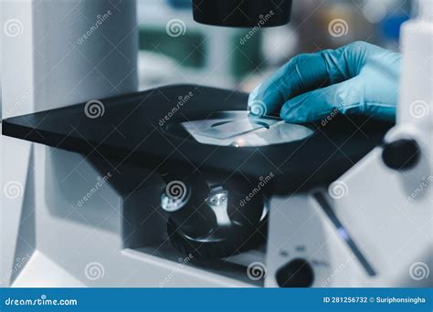 How To Put A Slide For A Microscope