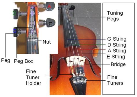 How To Put A String In A Violin