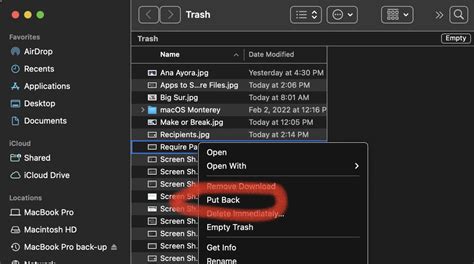 How To Put Back Items In Trash Mac