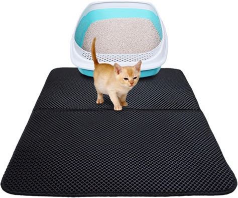 How To Put Cat In Box