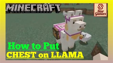 How To Put Chest On Llama Java