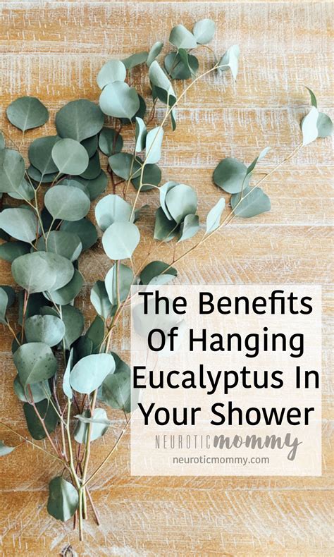 how to put eucalyptus in the shower