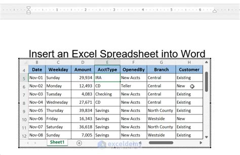 how to put excel spreadsheet into word
