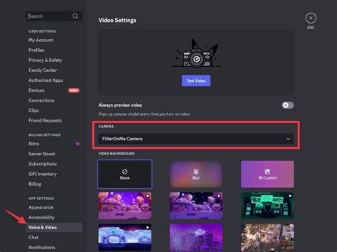 How To Put Filter In Discord Camera