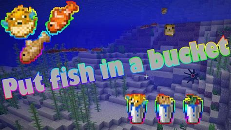 How To Put Fish In A Bucket In Minecraft Pe