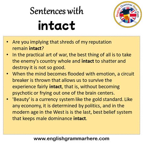 How To Put Intact In A Sentence