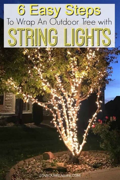 How To Put Lights On A Tree Branches