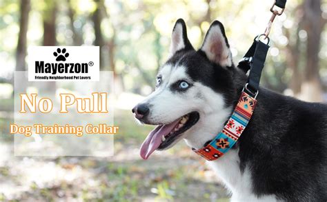 How To Put On A No Pull Collar